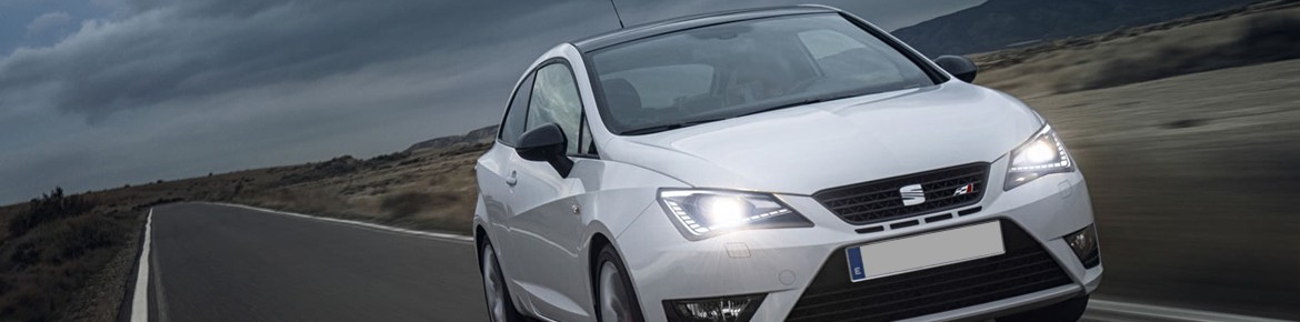 Chiptuning DrakeBox Seat Exeo 2.0 TDI CR 143 pk