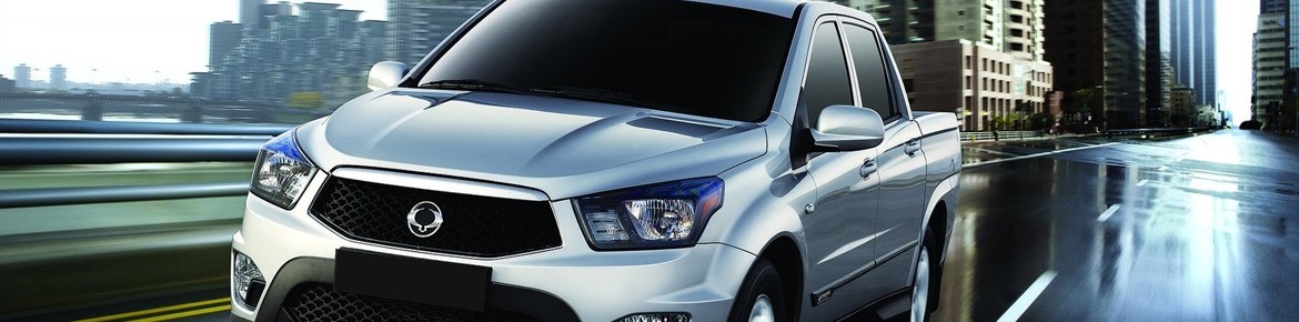 Chiptuning DrakeBox Ssangyong Kyron 2.0 XDI 138 pk